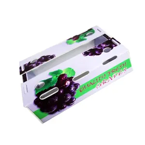 Caixas plásticas corrugadas PP para frutas e vegetais 4mm 6mm 8mm ecológicas sem poluição
