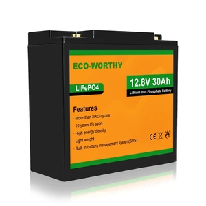 Batteria al Litio LiFePO4 12V Eco-worthy, Spedizione Gratuita, Ciclo Profondo per Attrezzature Mediche e di Sicurezza - Product Image 1