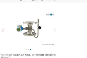 Medidor de Flujo Vortex Proline Prowirl 7R2C Original de Alta Calidad, Nuevo y a Buen Precio para ENdress H Auser - Product Image 6