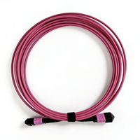 Kabel Patch Fiber Optik Single Mode Hitam 5M 1 Core MPO OM3 OM4 OM5 untuk Telekomunikasi Bersertifikasi ISO9001 Model NK4000