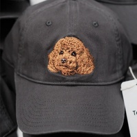 Gorra de Béisbol Personalizada con Bordado, Gorra Trucker Ajustable, Logotipo Bordado, Diseño Impreso, Venta al Por Mayor