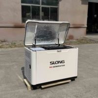 Alternateur sans balais 24V 50Hz en cuivre pur, régulateur de tension AVR, électrique, pour essence, GPL, GNC, automobile, écologique