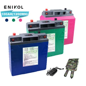 Kunde 12V Lithium-Eisen-Phosphat-Batterie 100Ah LiFePO4 12,6-V-Batteriepack mit vier Saiten, geeignet für Wohnmobile und Solar boote