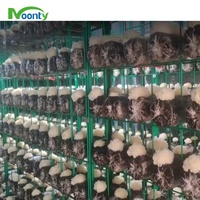 Conteneur de culture de champignons entièrement automatisé de 40 pieds avec système de contrôle climatique