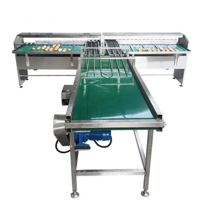Machine de traitement des œufs de haute qualité à bon prix Machine de pesage de classement des œufs Niveleuse d'œufs à vendre - Product Image 4
