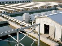 Poulailler de base 10x30m - 2.8m de hauteur, conception ouverte, pour 5,000 poulets en liberté
