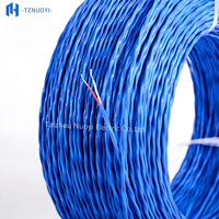 Cable Termopar Industrial de Alta Temperatura con Aislamiento de PTFE de 2 Núcleos, Tipos K/E/J/T/N/R/S para Equipos Eléctricos, 100m