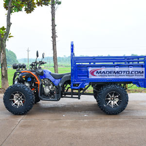 4輪駆動ItpタイヤビッグトーカーユースサイドUtv - Product Image 1