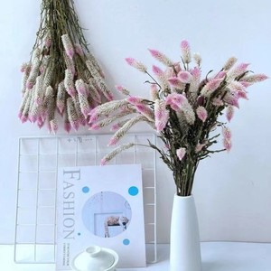 ดอกไม้<span class=keywords><strong>สาคู</strong></span>ธรรมชาติสำหรับตกแต่งงานแต่งงาน - Product Image 6