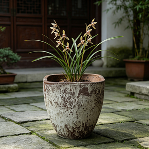 <span class=keywords><strong>Pot</strong></span> de fleurs <span class=keywords><strong>en</strong></span> céramique de Jingdezhen pour plantes hydroponiques, <span class=keywords><strong>pot</strong></span> de jardinage <span class=keywords><strong>en</strong></span> <span class=keywords><strong>terre</strong></span> <span class=keywords><strong>cuite</strong></span> grossière pour villa et cour - Product Image 5