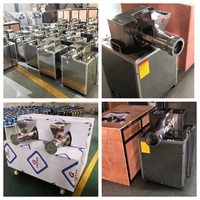 Extrudeuse de vermicelles faisant la machine machine à pâtes personnalisées prix de la machine à pâtes italienne domestique NP Marque