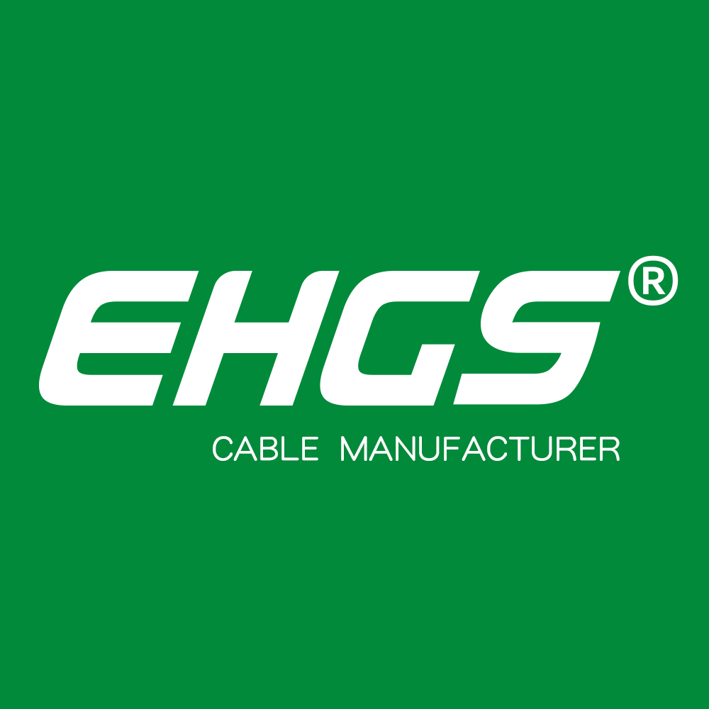 SHENZHEN EHGS IMPORT & EXPORT CO., LTD. logo