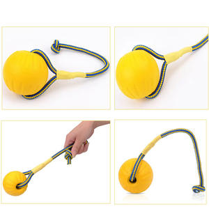 Giocattolo Interattivo per Cani da Esterno, Resistente ai Morsi, 7cm 9cm, Gioco Galleggiante in Schiuma Eva Naturale - Product Image 6