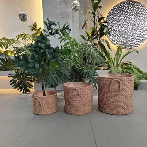 2024 bài viết wicker lưu trữ Giỏ mây trồng dệt lục bình giỏ nước lục bình Giỏ Trồng