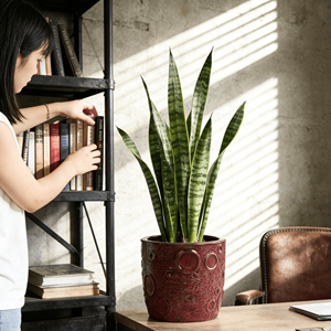 Pot de fleurs en céramique verni bordeaux de style américain - Jardinière écologique durable avec trou de drainage - Product Image 2