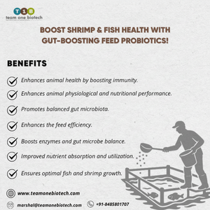 Additifs alimentaires probiotiques pour l'aquaculture pour une santé et une croissance optimales des poissons - Product Image 1