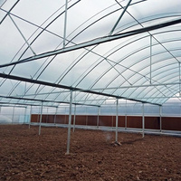 Serres en film avec structure en acier galvanisé à chaud pour la germination précoce des semis printaniers et automnaux