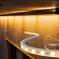 Lumière linéaire LED flexible pour extérieur, étanche IP67, pour lavage mural, éclairage souterrain, profil de jardin 3D, façade, projet, silicone néon