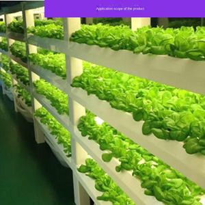 T8 Plant Lamp Lampe <span class=keywords><strong>de</strong></span> croissance des plantes Plante succulente <span class=keywords><strong>Culture</strong></span> <span class=keywords><strong>de</strong></span> tissus végétaux d'intérieur Led élèvent la lumière - Product Image 6