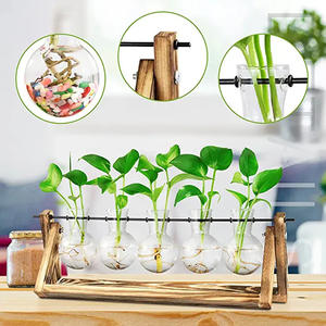 Stoples Perambatan Tanaman Farmhouse dengan Kayu Berdiri Bunga Bud Kaca Penanam untuk Menyebarkan Tanaman Hidroponik Dalam Ruangan 5 Bohlam Vas - Product Image 4