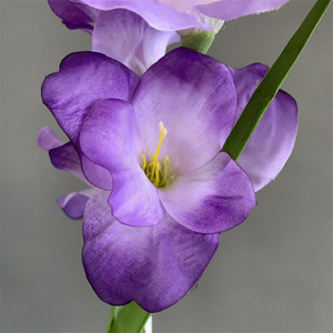 Fleurs artificielles en soie Evergreen G-052702, orchidées en forme d'épée, pour mariage, Saint-Valentin, remise de diplôme, décorations de fête - Product Image 3