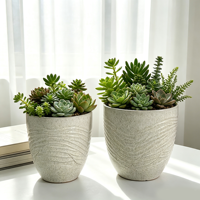 Nouvelle jardinière en céramique au design texturé, finition émaillée de haute qualité, écologique et durable pour la décoration de la maison et du jardin