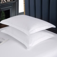 Ensemble de draps-housses en coton respirant 200TC 40 fils, tissé uni, pour dortoir, taille Queen, vente en gros