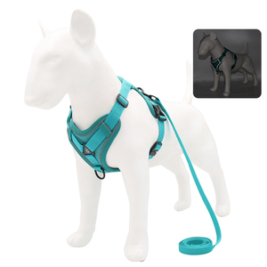 Profession Fabricant Laisse en nylon Ensemble <span class=keywords><strong>de</strong></span> harnais pour animaux <span class=keywords><strong>de</strong></span> compagnie pour <span class=keywords><strong>chien</strong></span> Harnais pour animaux <span class=keywords><strong>de</strong></span> compagnie durables réfléchissants - Product Image 5