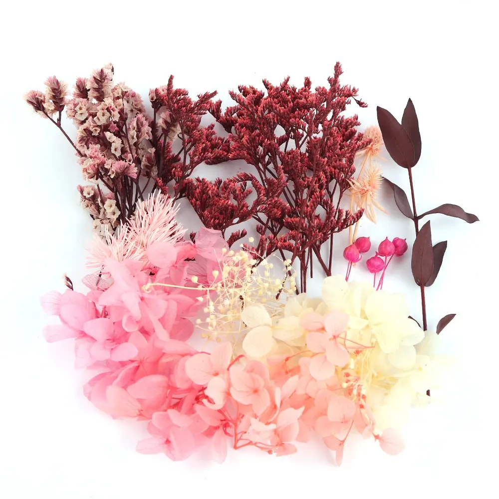 Bunga Kering Alami 3d Perhiasan Resin DIY Warna Campur Terlaris untuk Dekorasi Kerajinan Resin