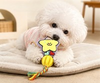 Nouveau modèle de jouet en peluche pour animaux de compagnie avec fonction sonore, corde en coton TPR, en forme de pastèque, durable et interactif, jouets d'auto-amusement