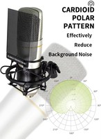 ZX-89 Professionelles Kondensatormikrofon XLR Studio-Aufnahmemikrofon für Live-Streaming, Podcasting und Broadcasting