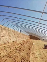 Serre tunnel à simple travée galvanisée à chaud avec film plastique agricole pour la culture de légumes et de fruits