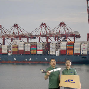 चीन से अमेरिकी कनाडा के लिए मुफ्त सीमा शुल्क निकासी फारवर्डर शिपिंग एजेंट - Product Image 6