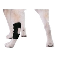 Chien Canine Knuckling Corrector Toe Dragging Brace Wrap pour patte de jambe arrière avant ou arrière