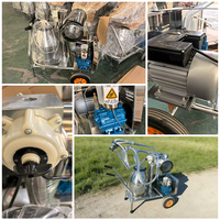 Machine à traire en acier inoxydable haute performance, unité de traie mobile pour ferme, pour vaches, moutons, chèvres, utilisation en pâturage laitier