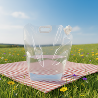 Pochette pliable personnalisable avec logo, écologique et recyclable, 5 litres, en PE transparent, pour eau minérale, vin, bière, jus