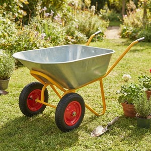 <span class=keywords><strong>Brouette</strong></span> à deux roues robuste de haute qualité WB6418-8S - Product Image 5
