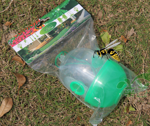 Avispas domésticas, <span class=keywords><strong>moscas</strong></span>, insectos, abejas, tramperos, matadores, trampas <span class=keywords><strong>para</strong></span> avispas no venenosas o químicas - Product Image 6