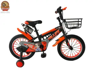 Vélo de vélo Phillips pour enfants 12 14 16 pouces VTT pour garçons filles avec roue d'entraînement pour enfants