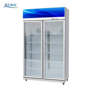 small fridge insert refrigerator shelves display fridge congelateur refrigerated display cooler