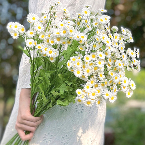 Meilleures ventes, vente en gros usine : 30 petites marguerites fraîches en forme de <span class=keywords><strong>t</strong></span>ête, style Mori, pour décoration maison et mariage, accessoires de photographie - Product Image 1