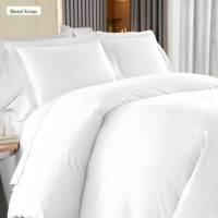 Ensemble de housse de couette et de draps en tissu rayé satiné pour hôtel, 4 pièces, respirant, doux, lavable, en polyester, pour la maison et l'hôtel