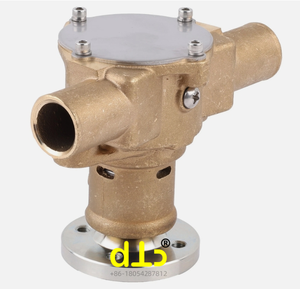 Bomba de Agua Cruda Sherwood P1014 P101 P1011 P1012 P1015 Crusader RA057031 RP061017 para Maquinaria de Construcción - Product Image 4