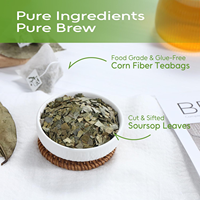 Sachets de thé aux feuilles de corossol (Graviola) 1,5g x 50, en pyramide écologique en fibre de maïs, sans gluten, sans OGM, sans caféine, à base de plantes, pour le système immunitaire, OEM