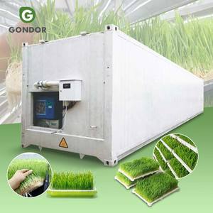 Sistema Automático de Forraje Hidropónico con Motor de Acero Inoxidable para Germinación de Trigo y Alfalfa y Cultivo de Vegetales - Product Image 1