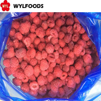 IQF Diepvries Frambozen, hele vruchten, bulkverpakking, verse oogst, voor desserts, bakkerijen en dranken.