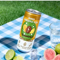 Boisson énergisante glacée à la pastèque et au citron vert OEM Sleek 330ML, concentré de café au ginseng rouge et à la taurine, boisson en conserve certifiée HACCP