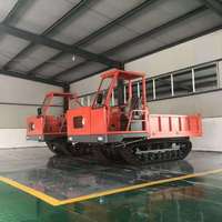 10 Tonnen Mini Spezial Crawler Dumper LXYS-10T für tropischen Dschungel Arbeits zustand Diesel Muldenkipper mit Spur