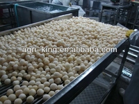 Bola Talas Beku LQF Bentuk Khusus Grade A Bersertifikat HACCP/BRC/GAP/Kosher Kemasan Massal 10kg