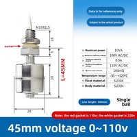 Interruptor de flotador de montaje lateral de acero inoxidable 304 HH54P AC220V, controlador de nivel de líquido, sensor de nivel de aceite pequeño, fabricado en China continental